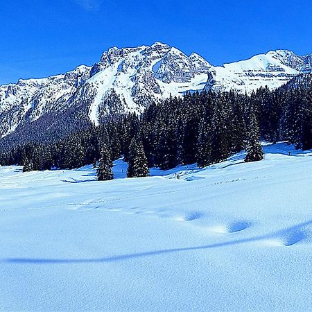 Campiglio Bilocale Monte Spinale Leilighet Madonna Rom bilde